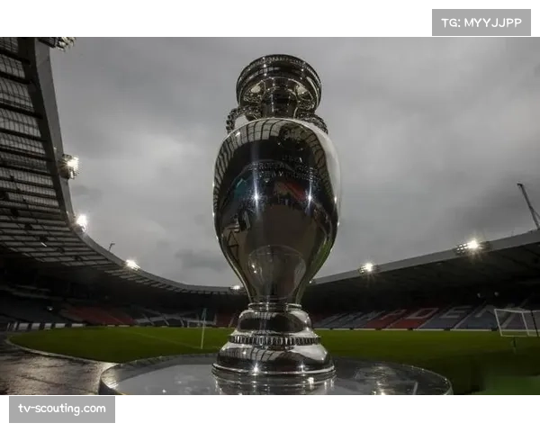 土耳其足协与欧足联合作 提升联赛管理水平